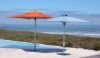 Picture of Bravura Market Umbrella