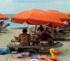 Picture of Concession Fiberlite Fiberglass Beach Umbrella - 24 Pack Free Shipping